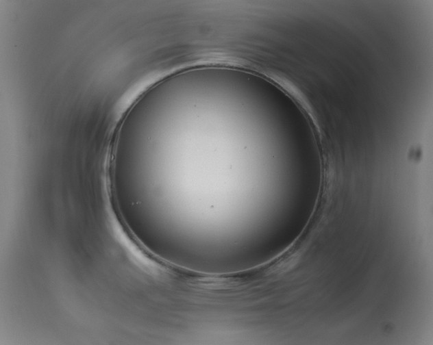 X0000114011391200910021331