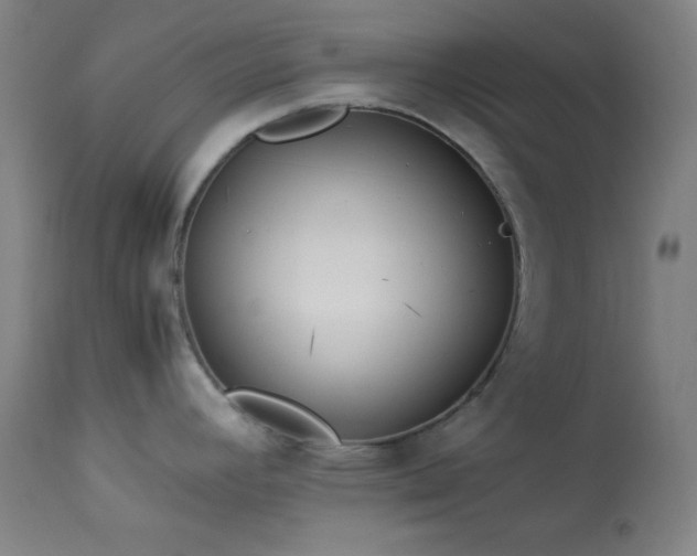 X0000114011392200910021331