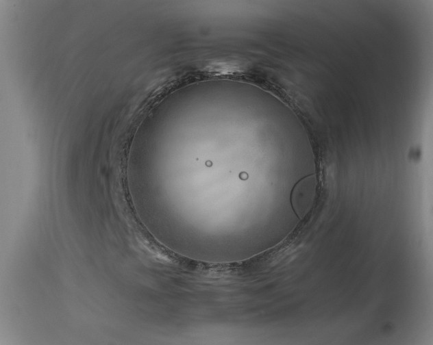 X0000114011393200910021330