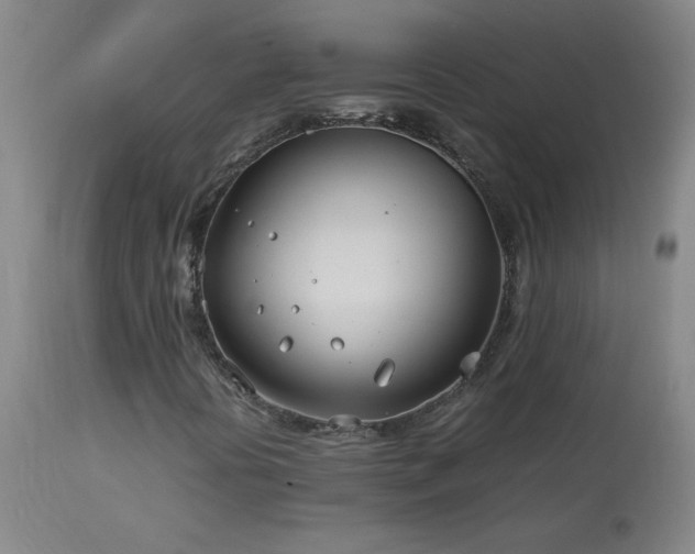 X0000114011394200910021330