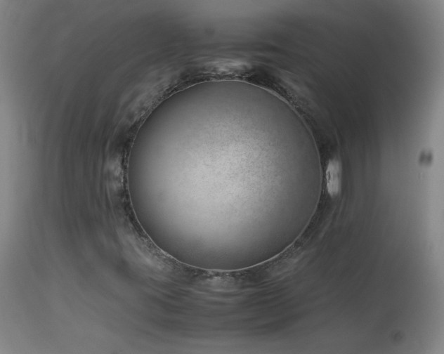 X0000114011395200910021330