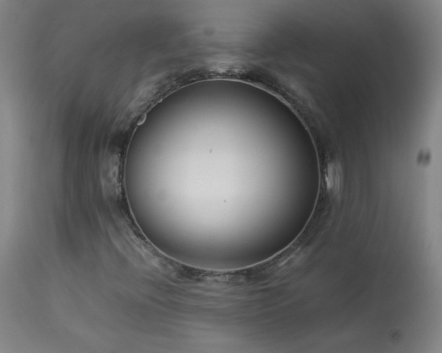 X0000114011396200910021330