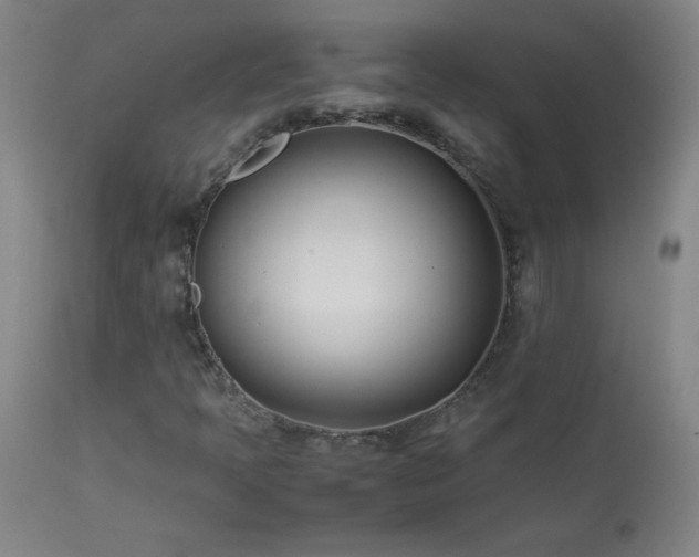 X0000114011397200910021330