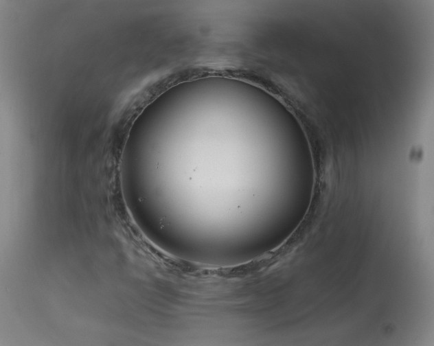 X0000114011398200910021330