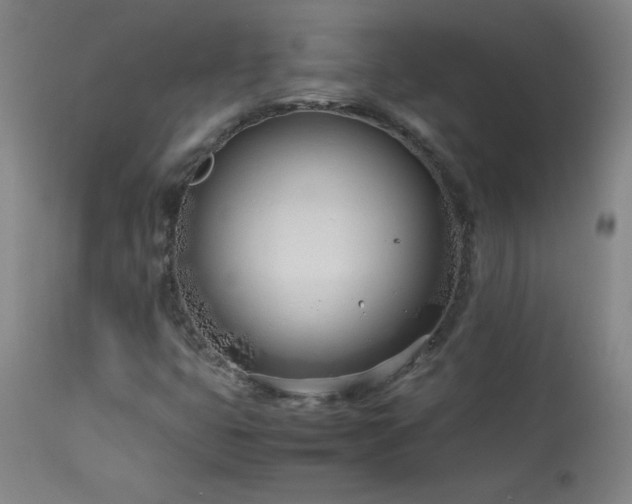 X0000114011399200910021330
