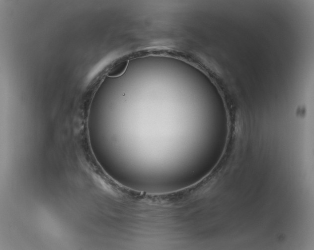 X0000114011400200910021330