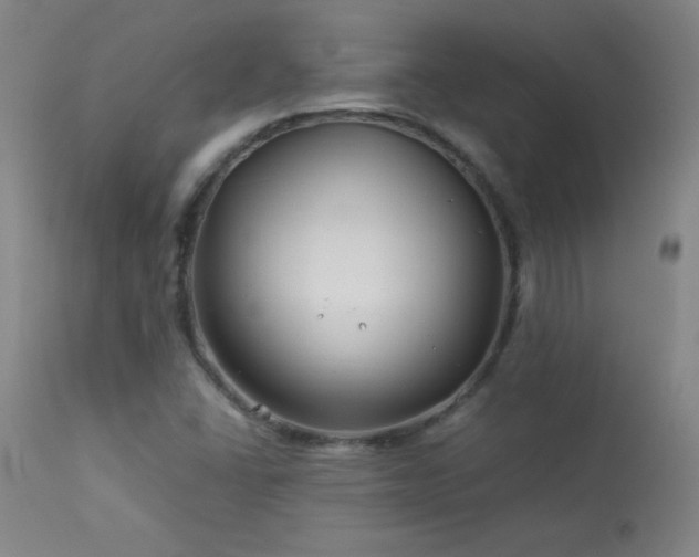 X0000114011406200910021330
