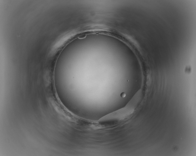 X0000114011407200910021330