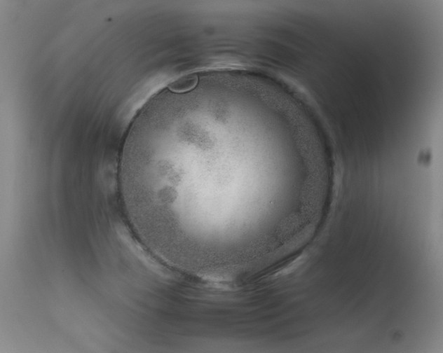 X0000114011409200910021330