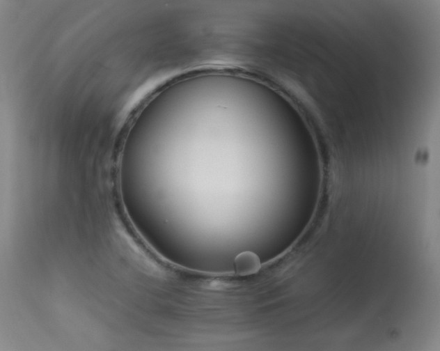 X0000114011412200910021330