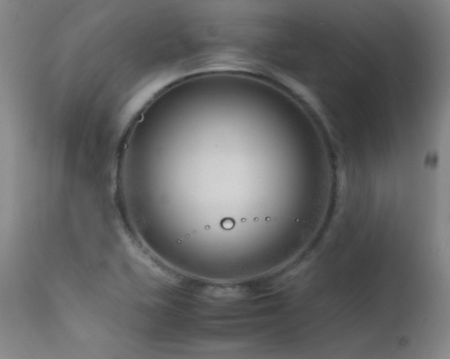 X0000114011415200910021330