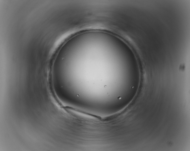 X0000114011416200910021330