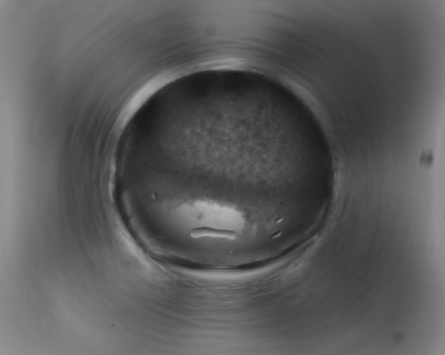 X0000114011418200910021330