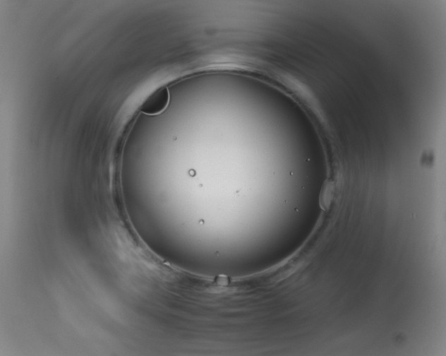 X0000114011419200910021330