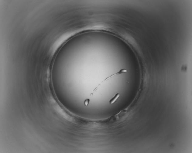 X0000114011420200910021330