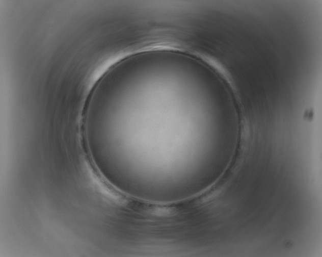 X0000114011423200910021330