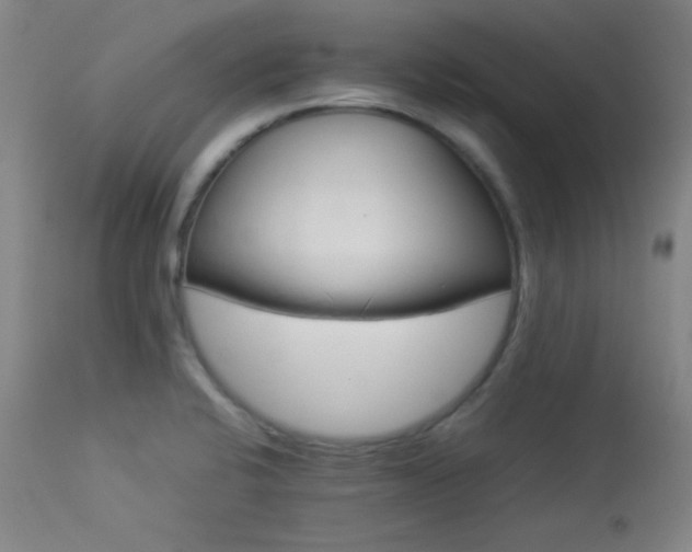 X0000114011424200910021330