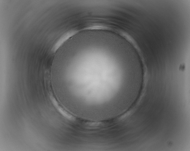 X0000114011425200910021330