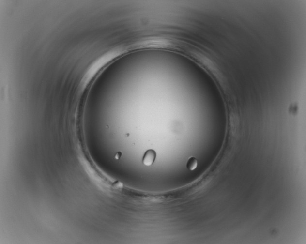 X0000114011426200910021330