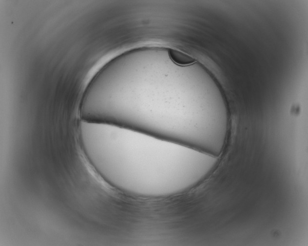 X0000114011428200910021330