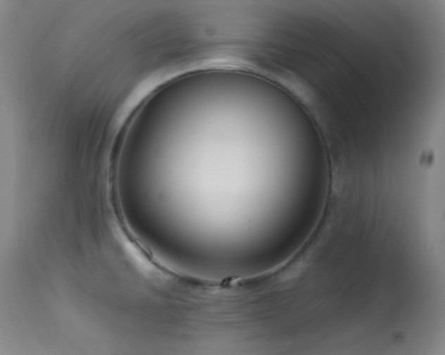 X0000114011430200910021331