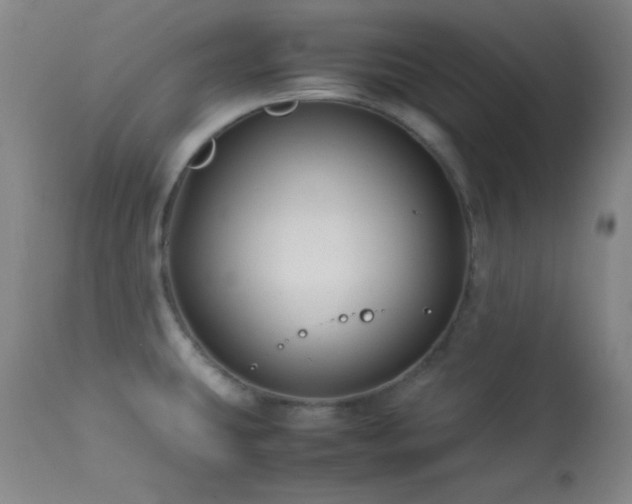 X0000114011431200910021331