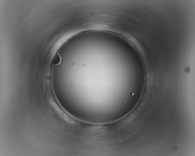 X0000114011432200910021331