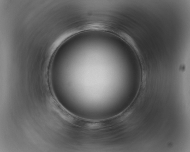 X0000114011435200910021331
