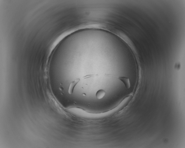X0000114011436200910021331