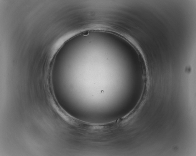 X0000114011437200910021331