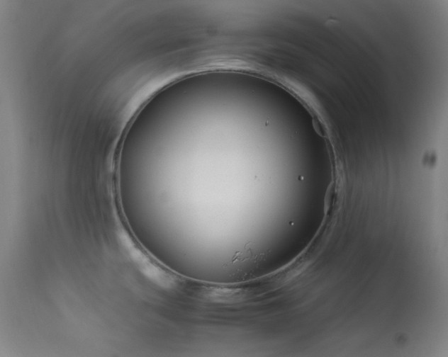 X0000114011439200910021331