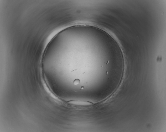 X0000114011440200910021331