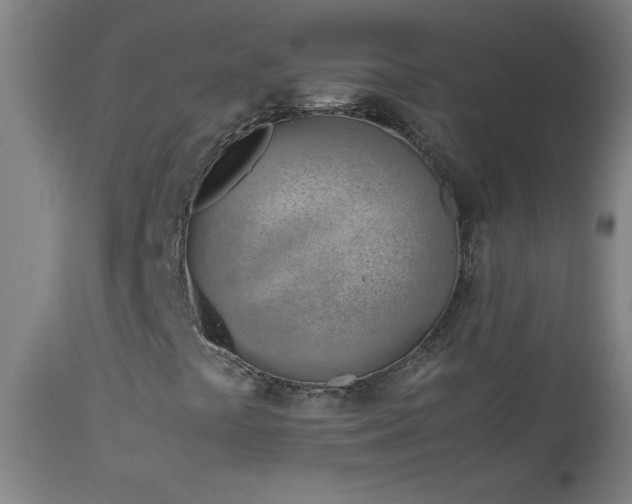 X0000114011441200910021330
