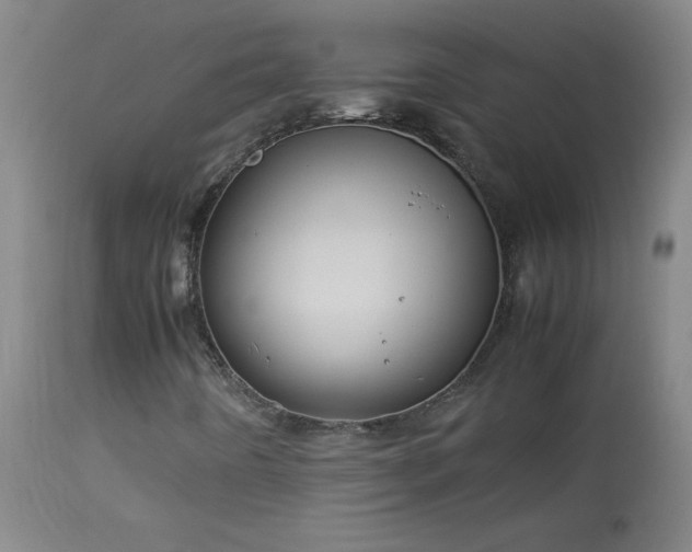X0000114011442200910021330