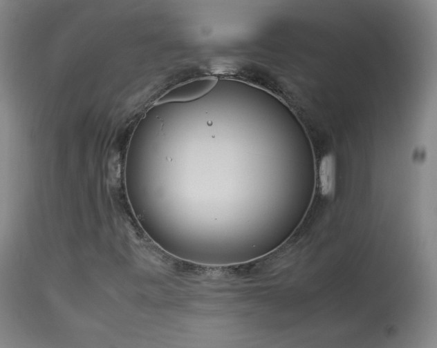 X0000114011443200910021330