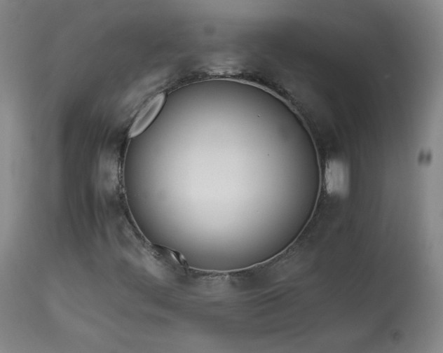 X0000114011444200910021330