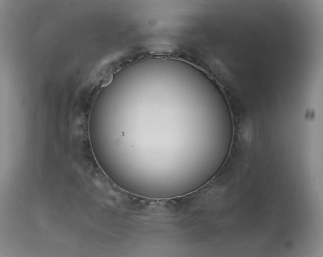 X0000114011445200910021330