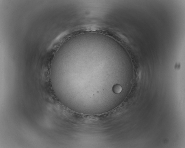 X0000114011446200910021330