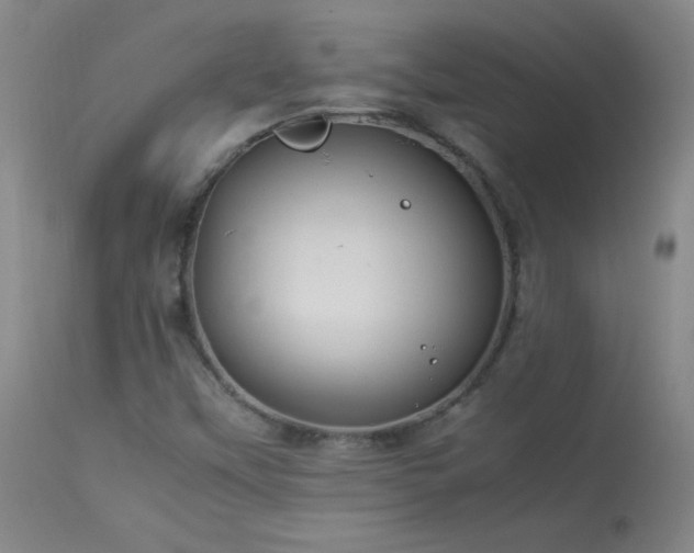 X0000114011451200910021330