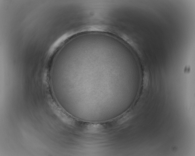 X0000114011454200910021330