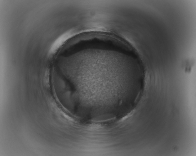 X0000114011455200910021330