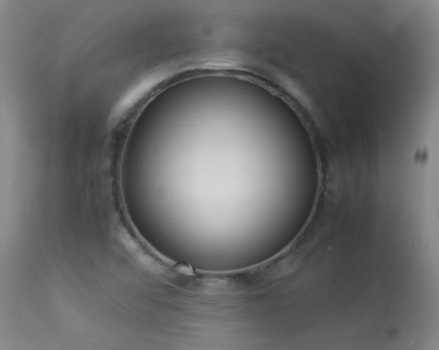 X0000114011456200910021330