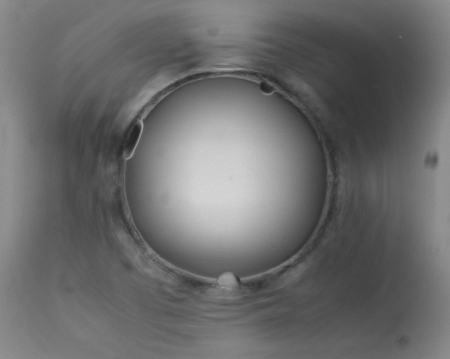 X0000114011457200910021330