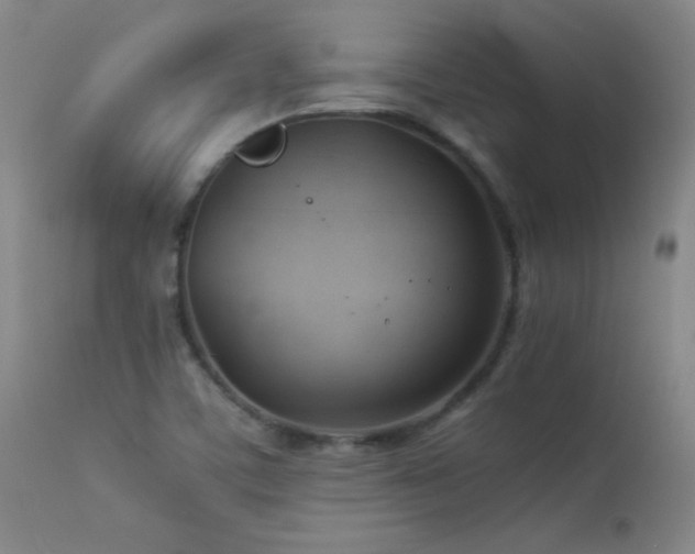 X0000114011459200910021330
