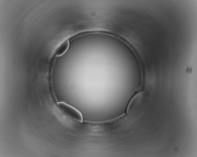 X0000114011460200910021330