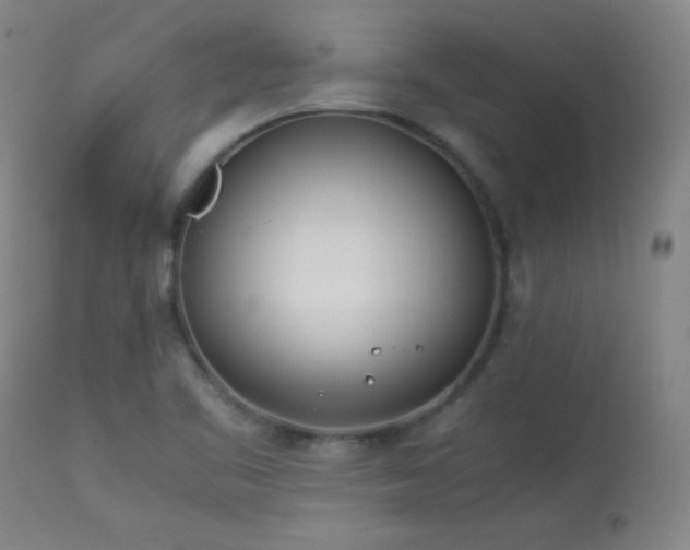 X0000114011461200910021330