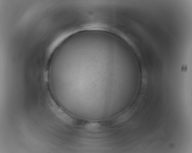 X0000114011462200910021330