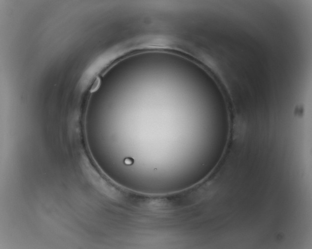 X0000114011464200910021330
