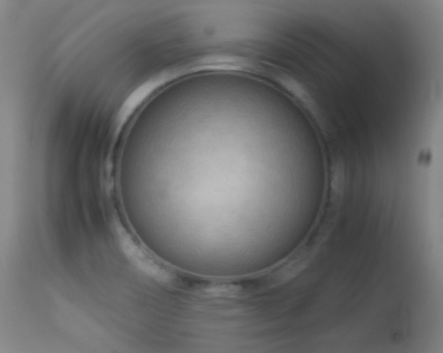 X0000114011466200910021329