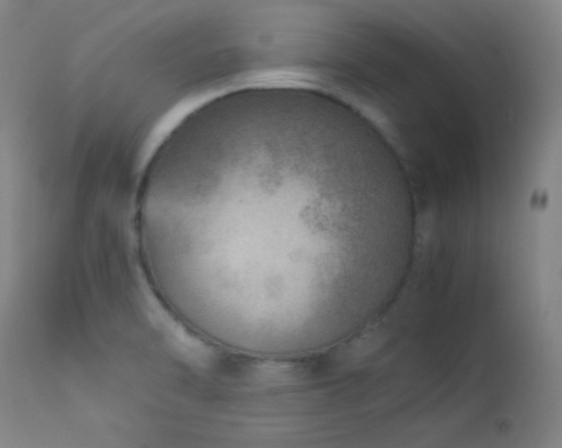 X0000114011470200910021329